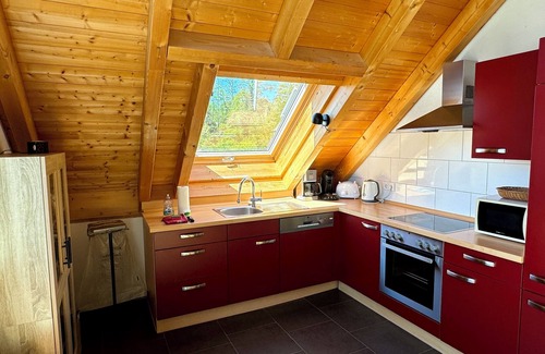 Gaienhofen Apartment | HERE HESSE WROTE, HERE DIX PAINTED. - THE HÖRI WILL INSPIRE YOU TOO!