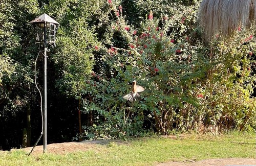 Olmue House | Hermosa Casa en Parcela en las montañas de Olmué disponible para semana santa, feriados, fines de semanas y vacaciones