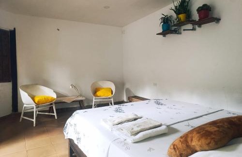 Palomino House | Hermoso Palomino