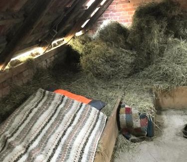 Berka/Werra Other | HEUHOTEL FARM Gemeinschaftsbad Own Sleeping bag Free Wifi