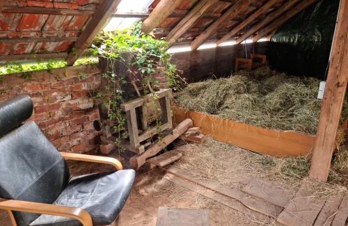 Berka/Werra Other | HEUHOTEL FARM Gemeinschaftsbad Own Sleeping bag Free Wifi