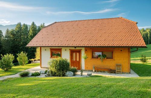 Mozirje House | Hiša Breza