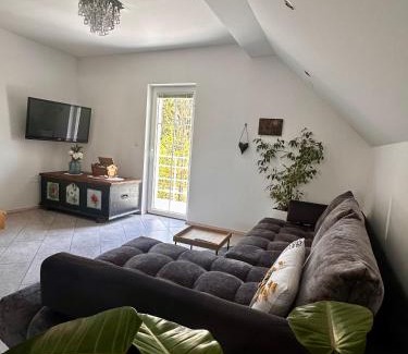 Begunje na Gorenjskem Apartment | Hiša Srečo