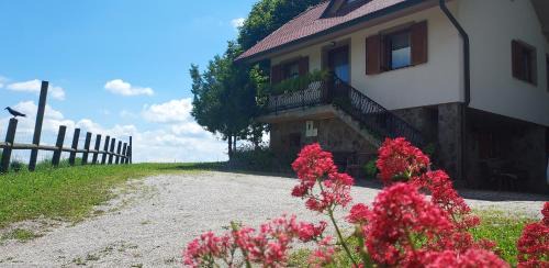 Slovenske Konjice Apartment | Hiška Tilia