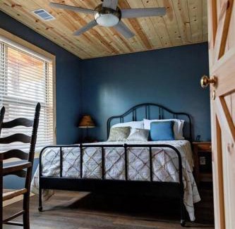 Mammoth Spring House | Hideaway Cabin near Mammoth Springs, Ark