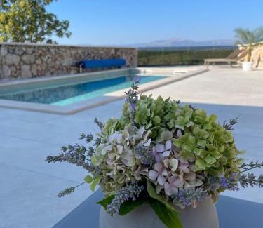 Prolozac Villa | Hideaway Stonehouse pool for 2 Dalmatia Imotski