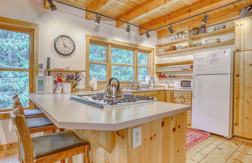 Government Camp Cabin | Hike & Bike out the Door and Paddle Nearby, Dog-Friendly, BBQ