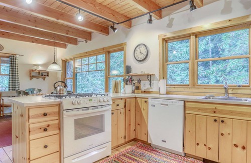 Government Camp Cabin | Hike & Bike out the Door and Paddle Nearby, Dog-Friendly, BBQ