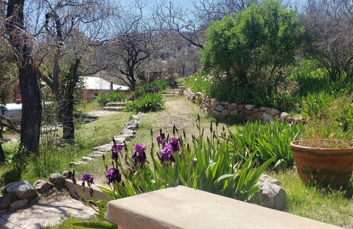 Oracle Apartment | Hike Oracle State Park. BBQ, Relax & See the Stars! Casa Sontina @ C.O.D. Ranch