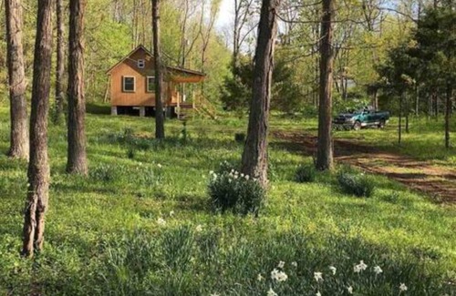 Pettigrew Cabin | Hiking, ATV riding, biking, rafting, cabin retreat!