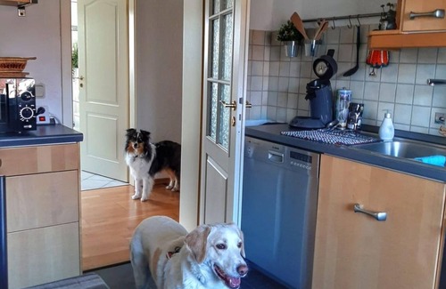 Sankt Ingbert Apartment | Hillis Ferienwohnung Saarland - vacation apartment