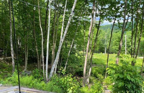 Phillips House | Hillside HideAway