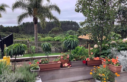 Drury Apartment | Hillside Oasis quiet peaceful near Akl Airport