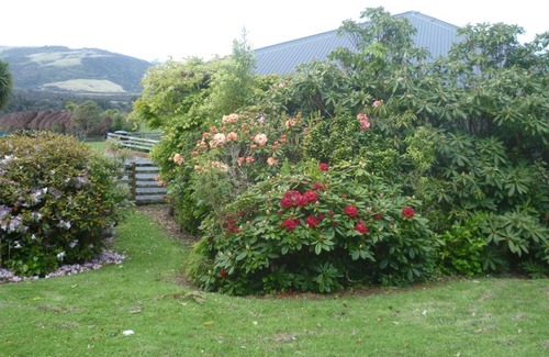 Papatowai Cabin | Hilltop Accommodation Catlins