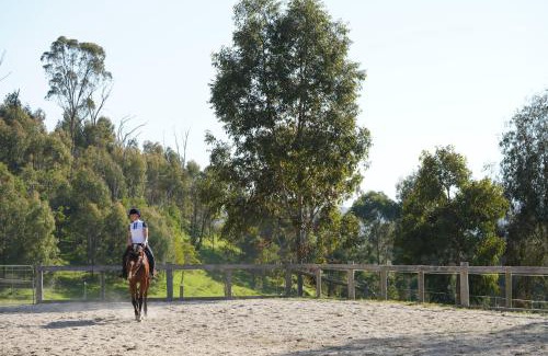 Strath Creek House | Hillview, Halls on Falls Homestead