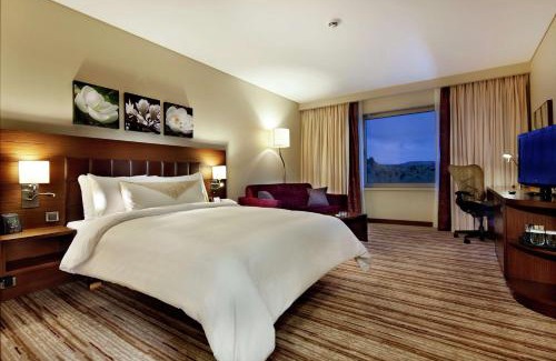 Artuklu Hotel | Hilton Garden Inn Mardin