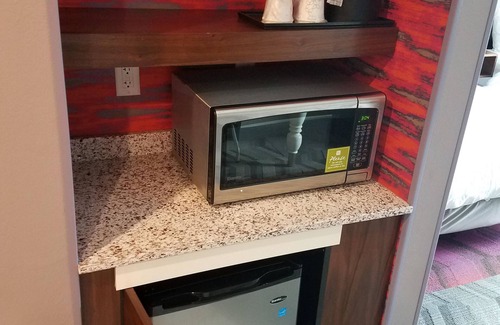 Lutz Hotel | Hilton Garden Inn Tampa Suncoast Parkway