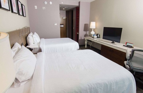 Lutz Hotel | Hilton Garden Inn Tampa Suncoast Parkway