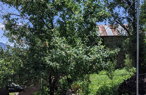 Hatkoti House | Himalayangypsie homestay