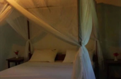 Maroantsetra Hotel | Hippocampe
