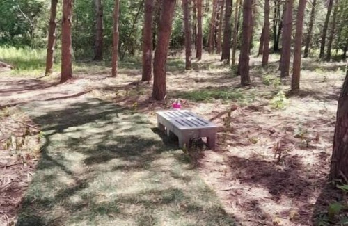Cass City RV Rental | hippy buss getaway
