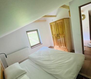 Margau Ski Chalet | Hirsch Chalet Apuseni