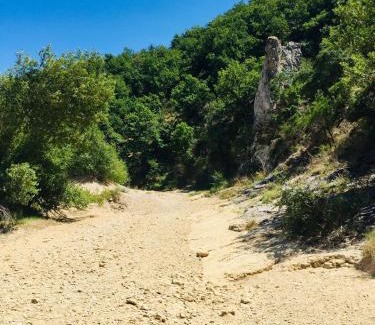 Saignon Bed & Breakfast | Histoire de cru