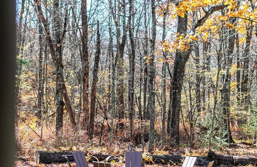 Mamakating Park Historic District House | Historic Catskills Retreat - Sun deck, hammock, fire pit - 90 minutes from NYC