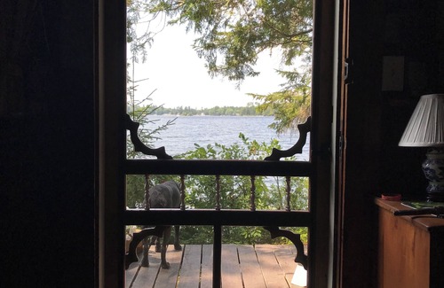 Franklin Cabin | Historic , cozy 2 bedroom original cabin at the waters edge in Franklin ME