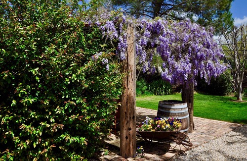 Plymouth House | Historic house located 10 min to 50 wineries, parks, shopping and Zagat dining.