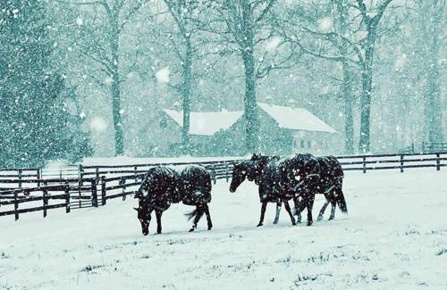 Middleburg Villa | Historic Middleburg Equestrian Estate