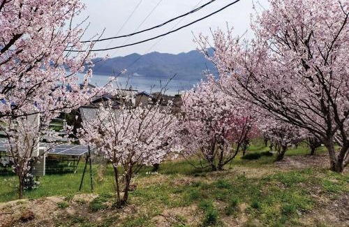 Onomichi House | Hitotsuru Setouchi Glamping - Vacation STAY 68977v