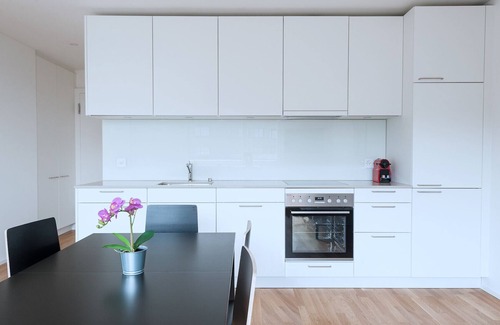 Basel City Centre Apartment | Hitrental Basel Apartments