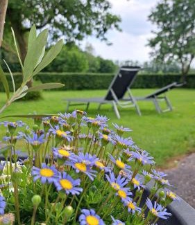 Markelo Bed & Breakfast | Hoeve Zandbelt