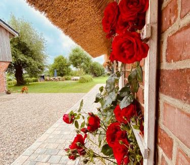 Stenderup House | Hof Goosend - Urlaub an der Ostsee & Schlei
