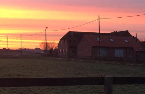 Meise Bed & Breakfast | Hof ter Dreef