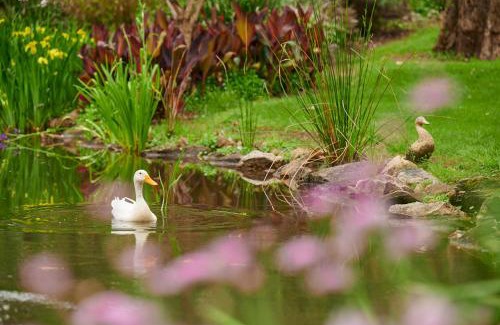 Nannup Bed & Breakfast | Holberry House