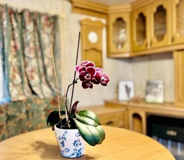 Tluszcz Ski Chalet | Holenderek Agro-Stajnia