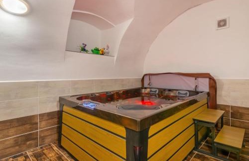 Olesnice v Orlickych horach House | Holiday Home IVA by Interhome