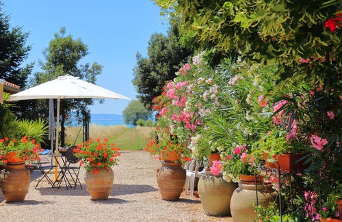 Passignano sul Trasimeno Apartment | Holiday Apartment in farmhouse - Diospiro - Residenze San Martino