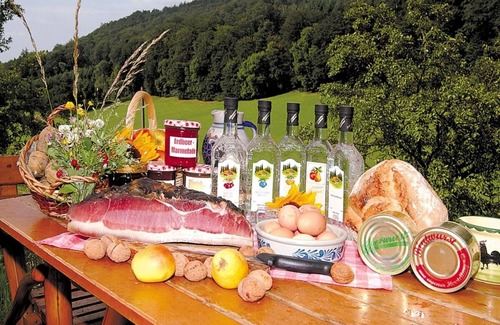 Kappelrodeck Apartment | Holiday apartment Ferienhof Benz