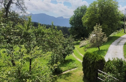 Schiefling am See House | Holiday apartment Schiefling am See for 1 - 2 persons - Holiday house