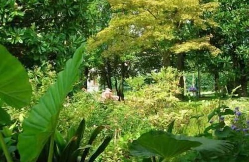 Pieve di Soligo House | Holiday apartment Pieve di Soligo for 1 - 3 persons with 1 bedroom - Holiday house