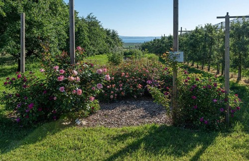 Altnau Apartment | Holiday apartment Altnau for 1 - 12 persons with 3 bedrooms - Holiday apartment