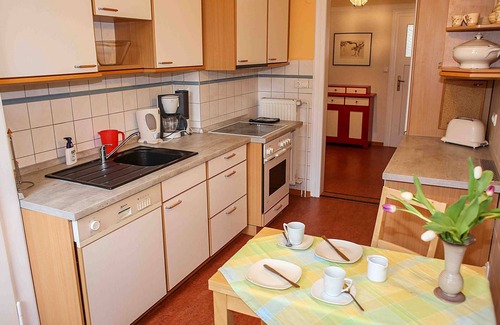 Dessau-Rosslau Apartment | Holiday apartment - forest path