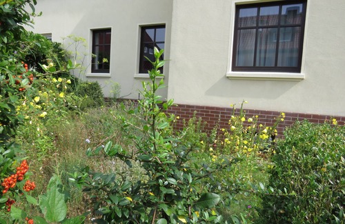 Dessau-Rosslau Apartment | Holiday apartment - forest path