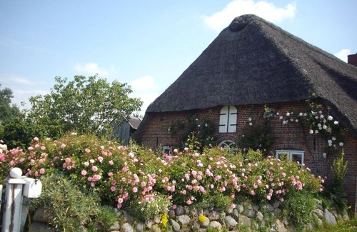 Emmelsbuell-Horsbuell Apartment | Holiday apartment Emmelsbüll-Horsbüll for 1 - 4 persons - Holiday apartment in one or multi-family h