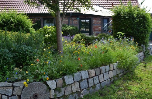 Sehlen Apartment | Holiday apartment in nature with terrace