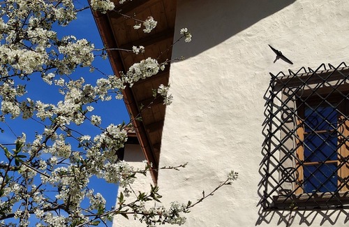 Tesimo Apartment | Holiday apartment in the newly restored, historic Lidl residence near Merano