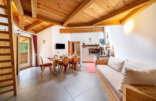 Racines Apartment | Holiday Apartment "Larch Soge Apt Paula" with Mountain View, Private Terrace & 2 Balconies